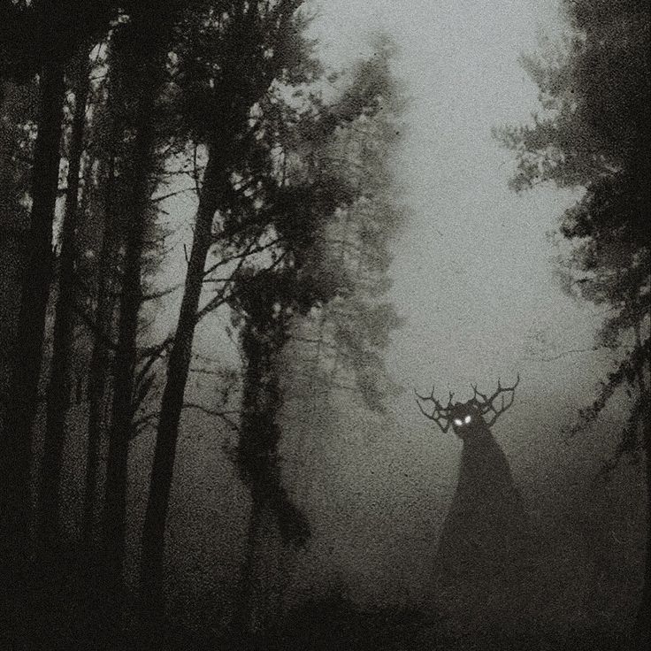 Mysterious Photo 2