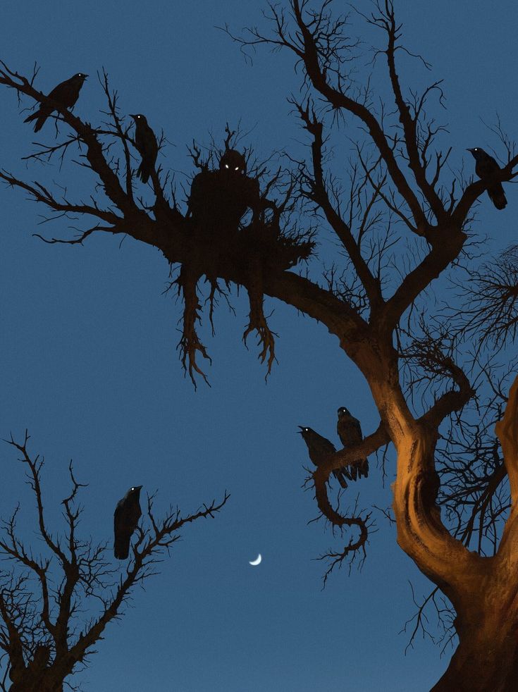 Mysterious Photo 1